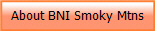 About BNI Smoky Mtns
